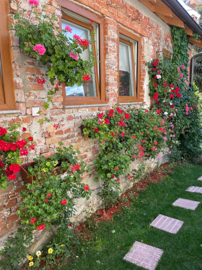Flower House In The City Center! Pristina Exterior photo